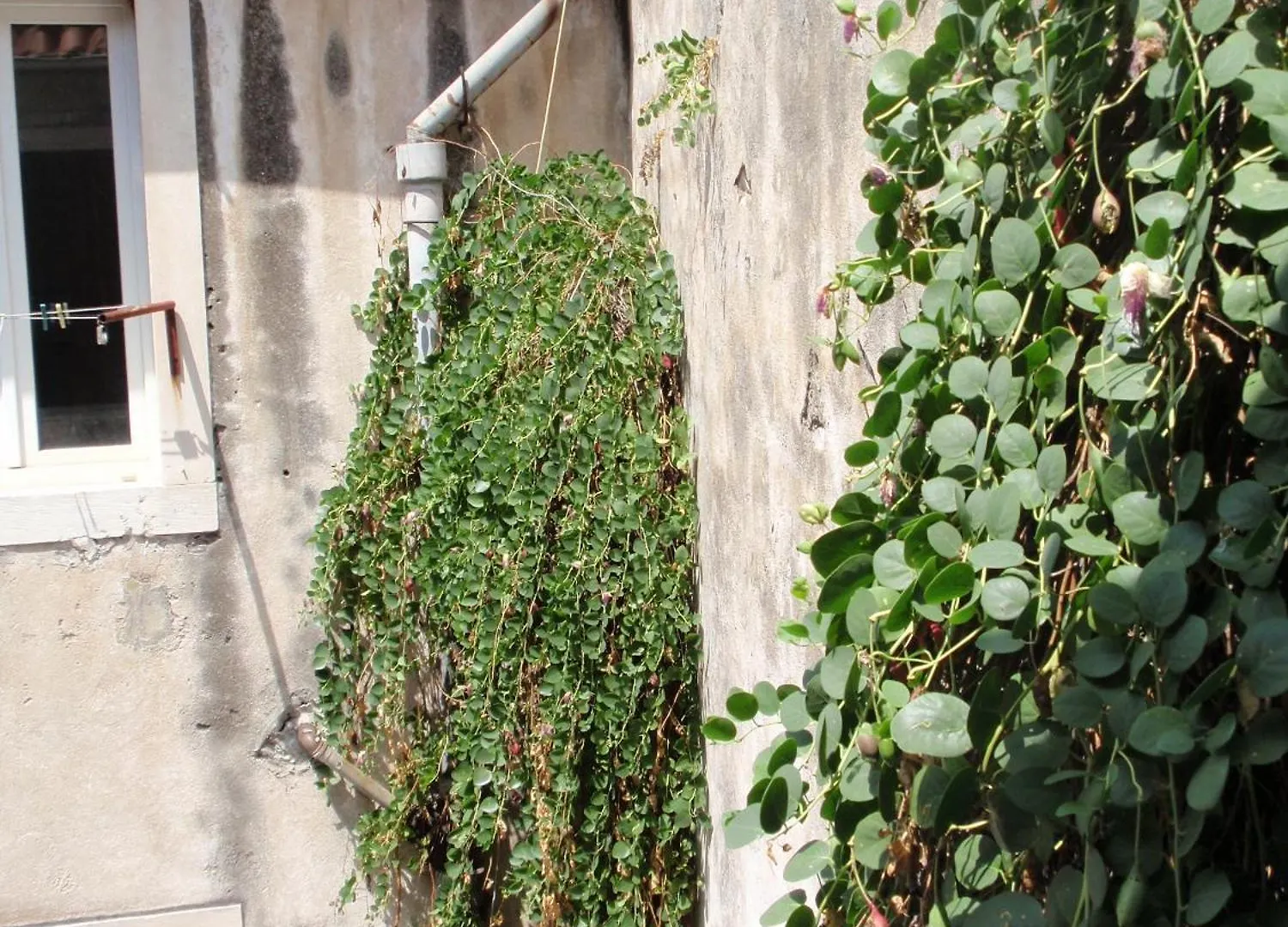 Pensionat Malena Palace Experience Split