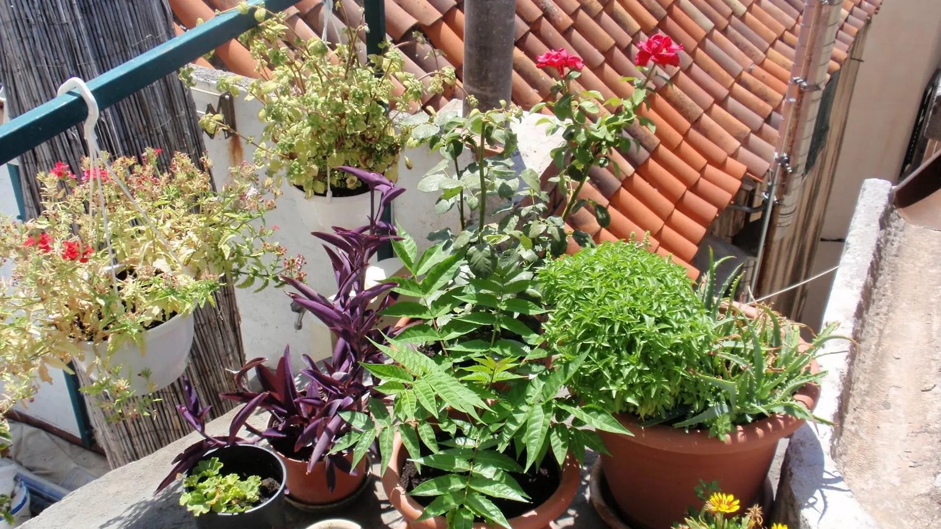 Guest house Malena Palace Experience Split